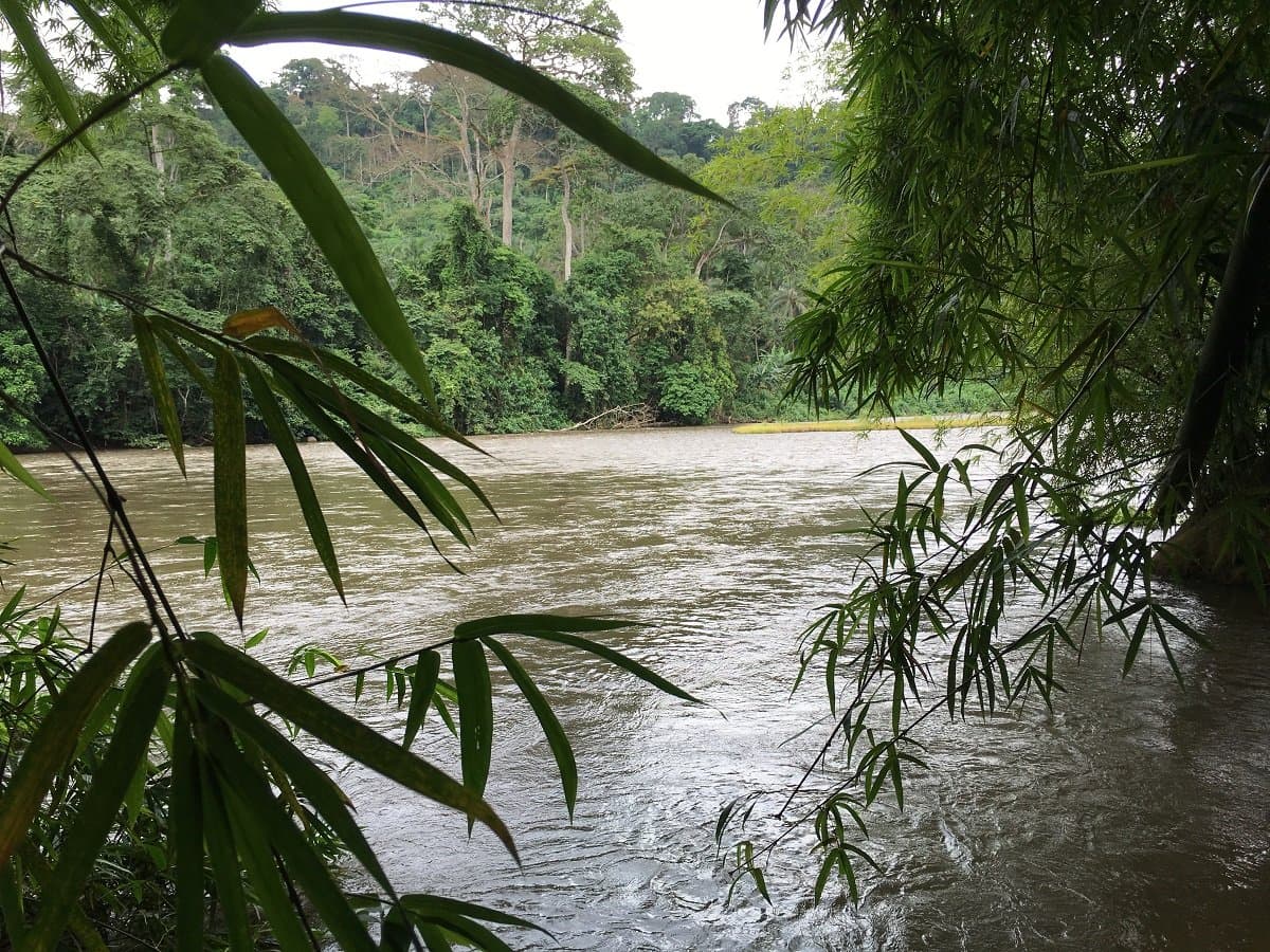 African Conservation Foundation gallery image 1