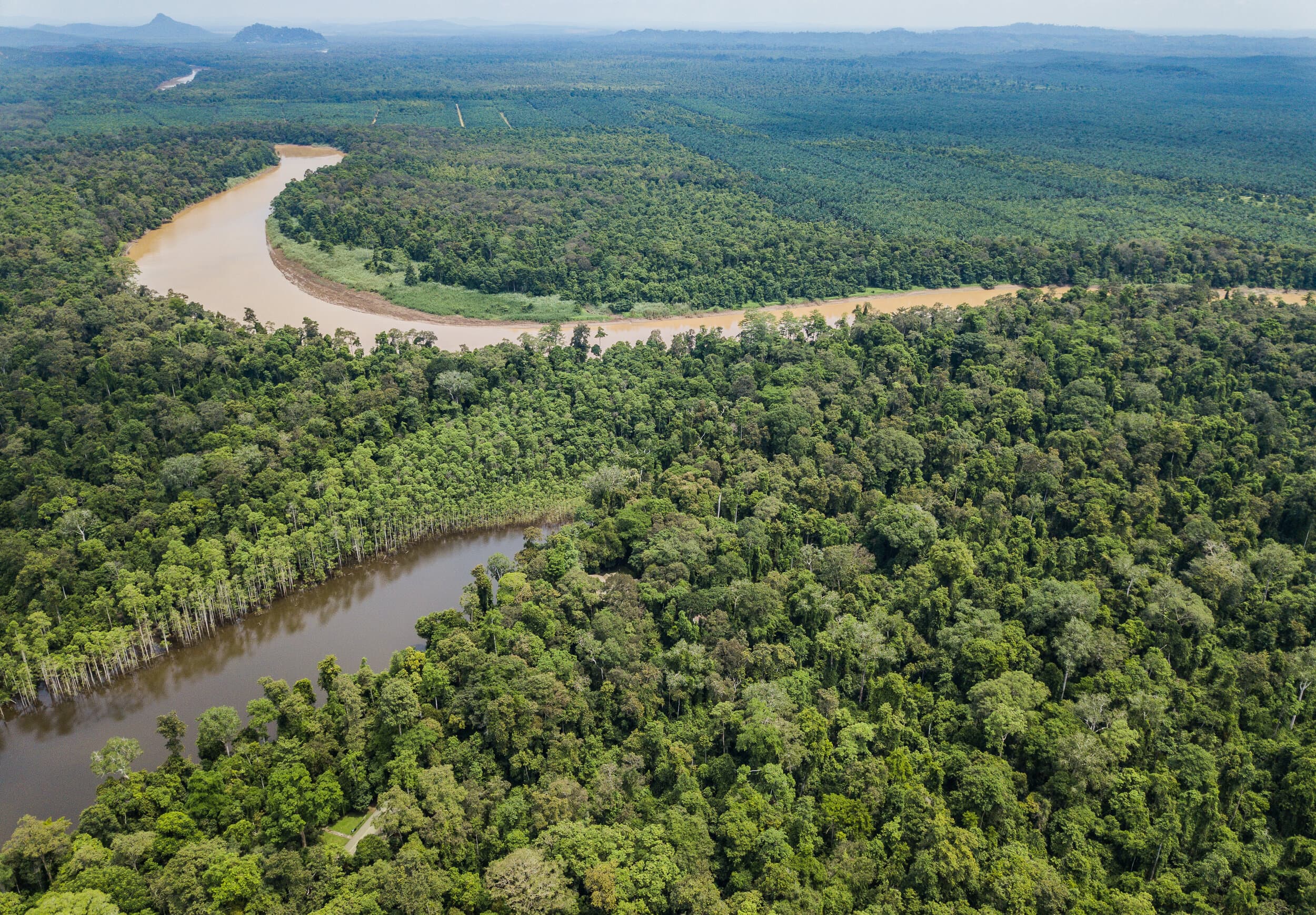 Danau Girang Field Centre gallery image 1