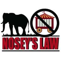 Free All Captive Elephants gallery image 3
