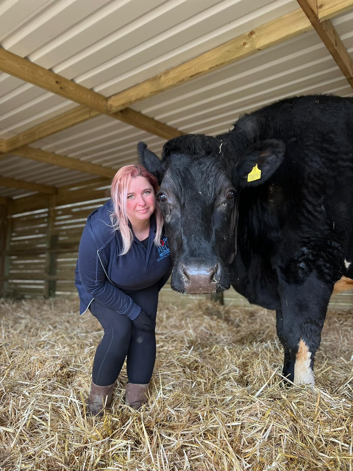 Hopefield Animal Sanctuary gallery image 3