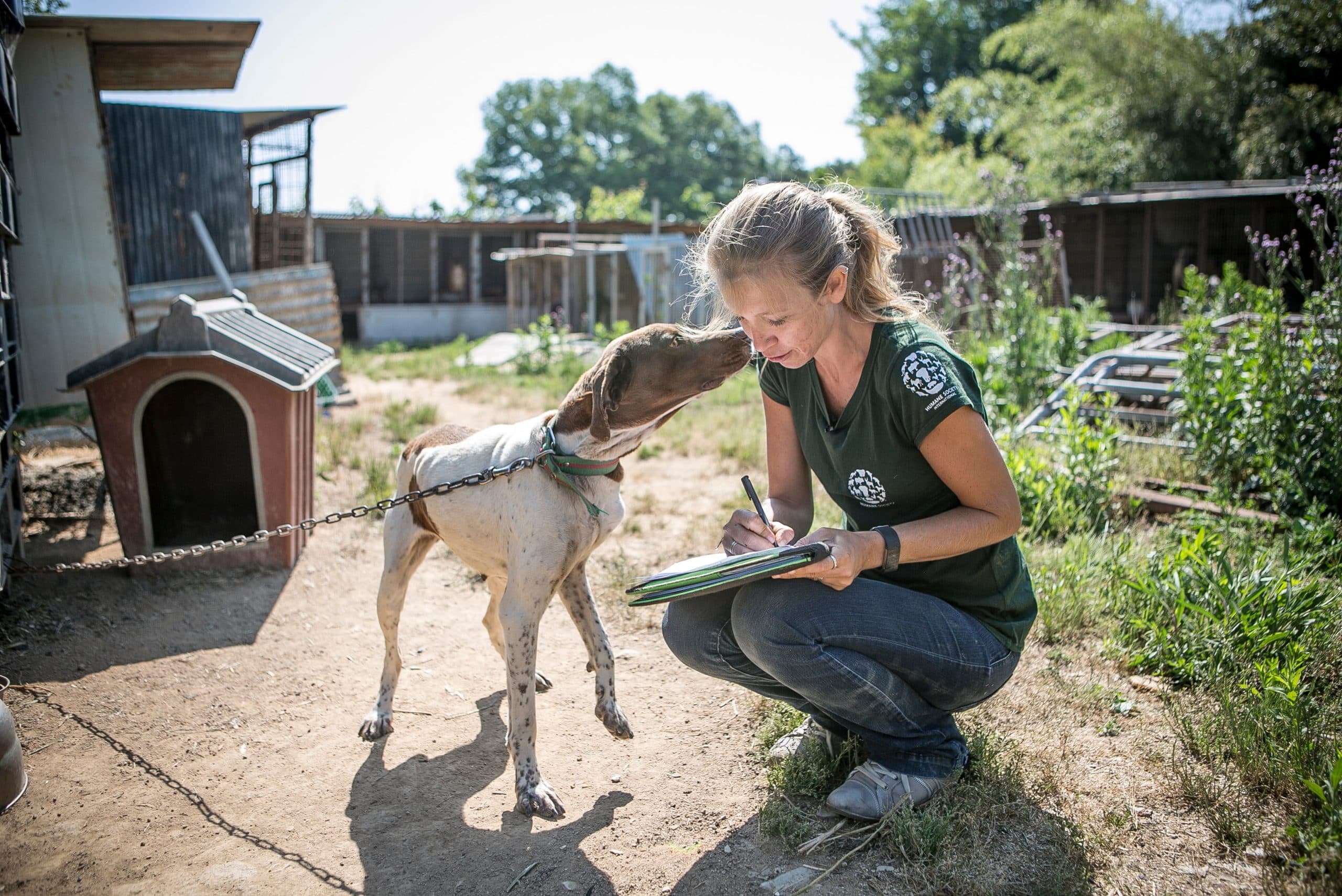 Humane World for Animals gallery image 2