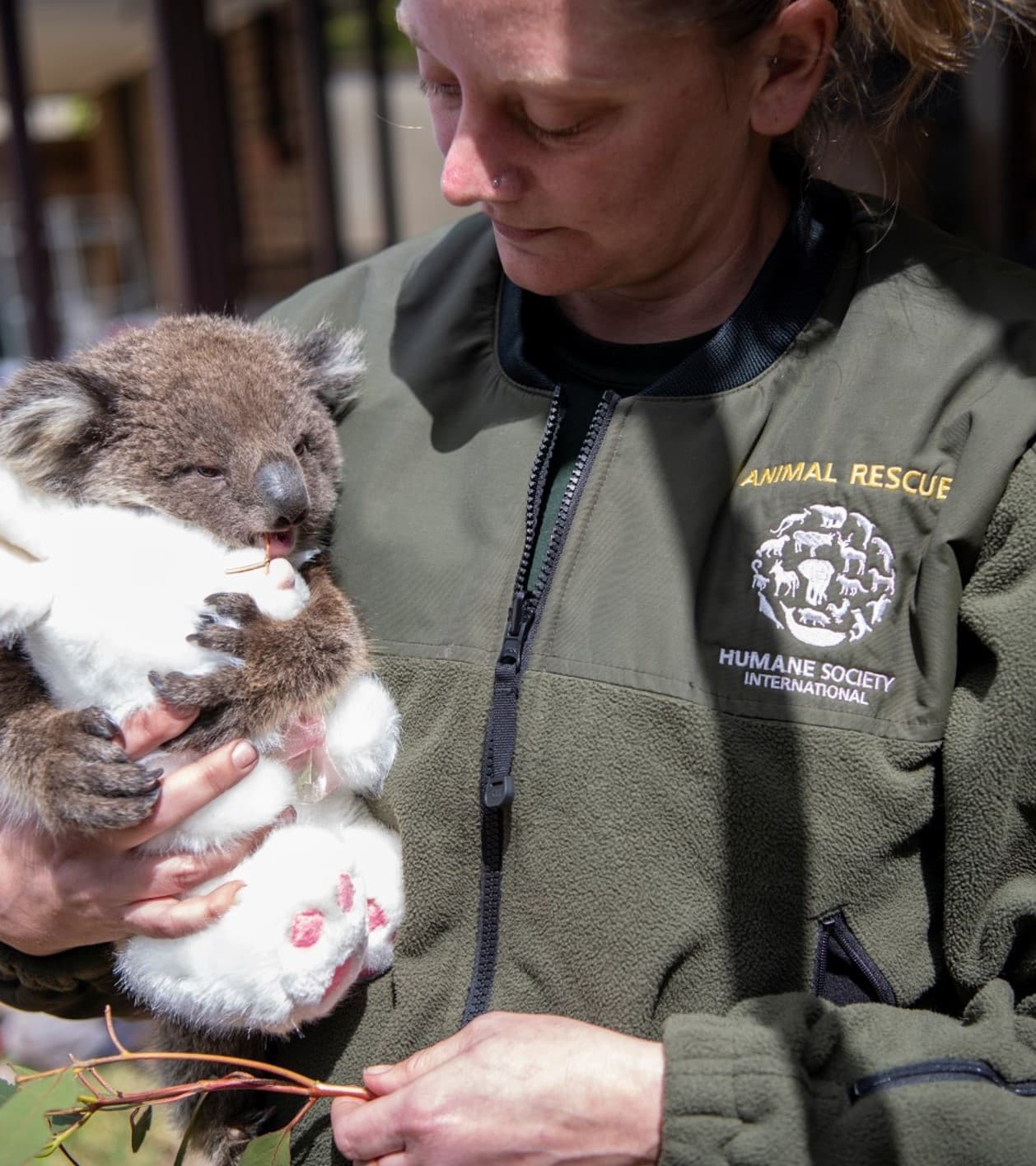 Humane World for Animals gallery image 3