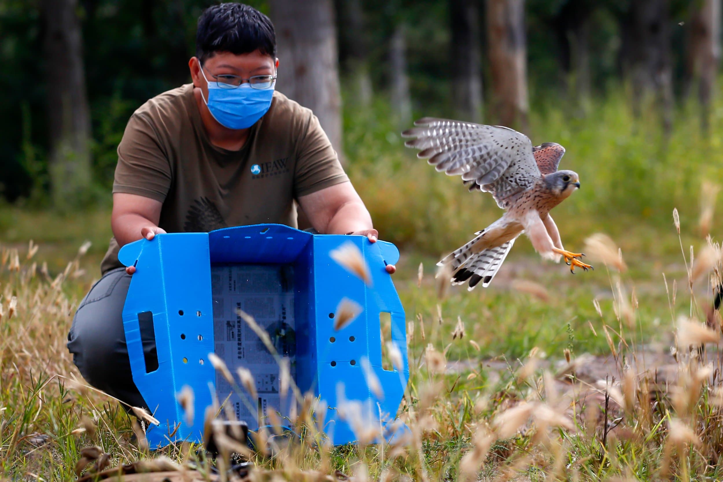 IFAW gallery image 2