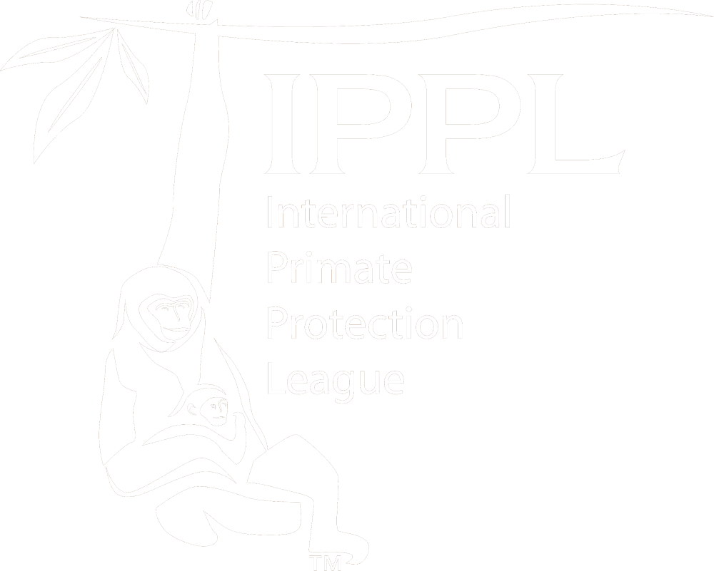 International Primate Protection League logo