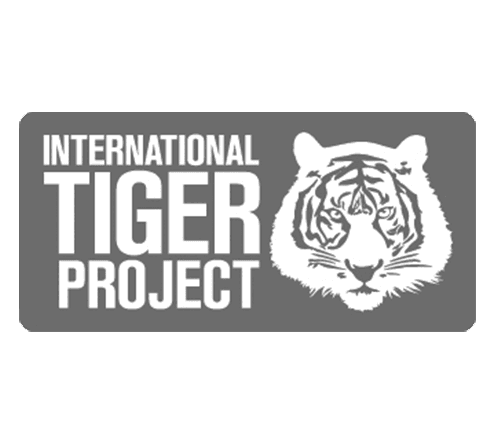 INTERNATIONAL TIGER PROJECT logo