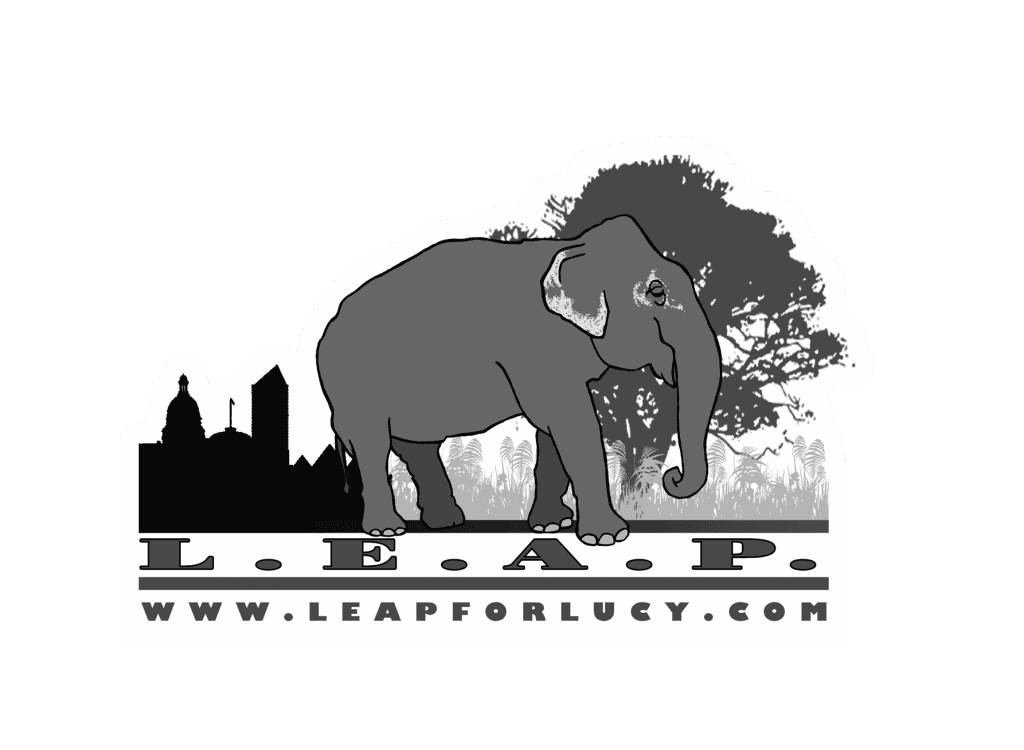 Leap for Lucy logo