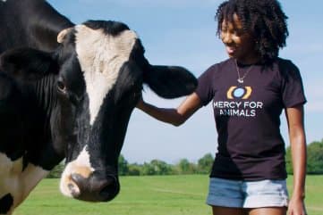 Mercy For Animals gallery image 1