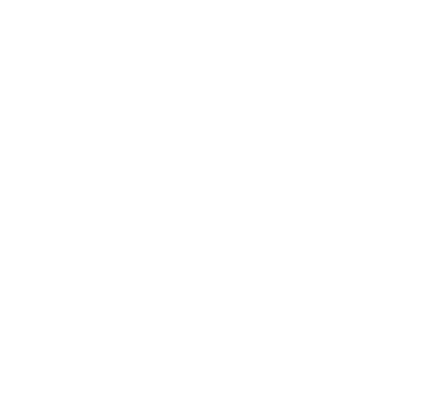 Neptune's Pirates logo