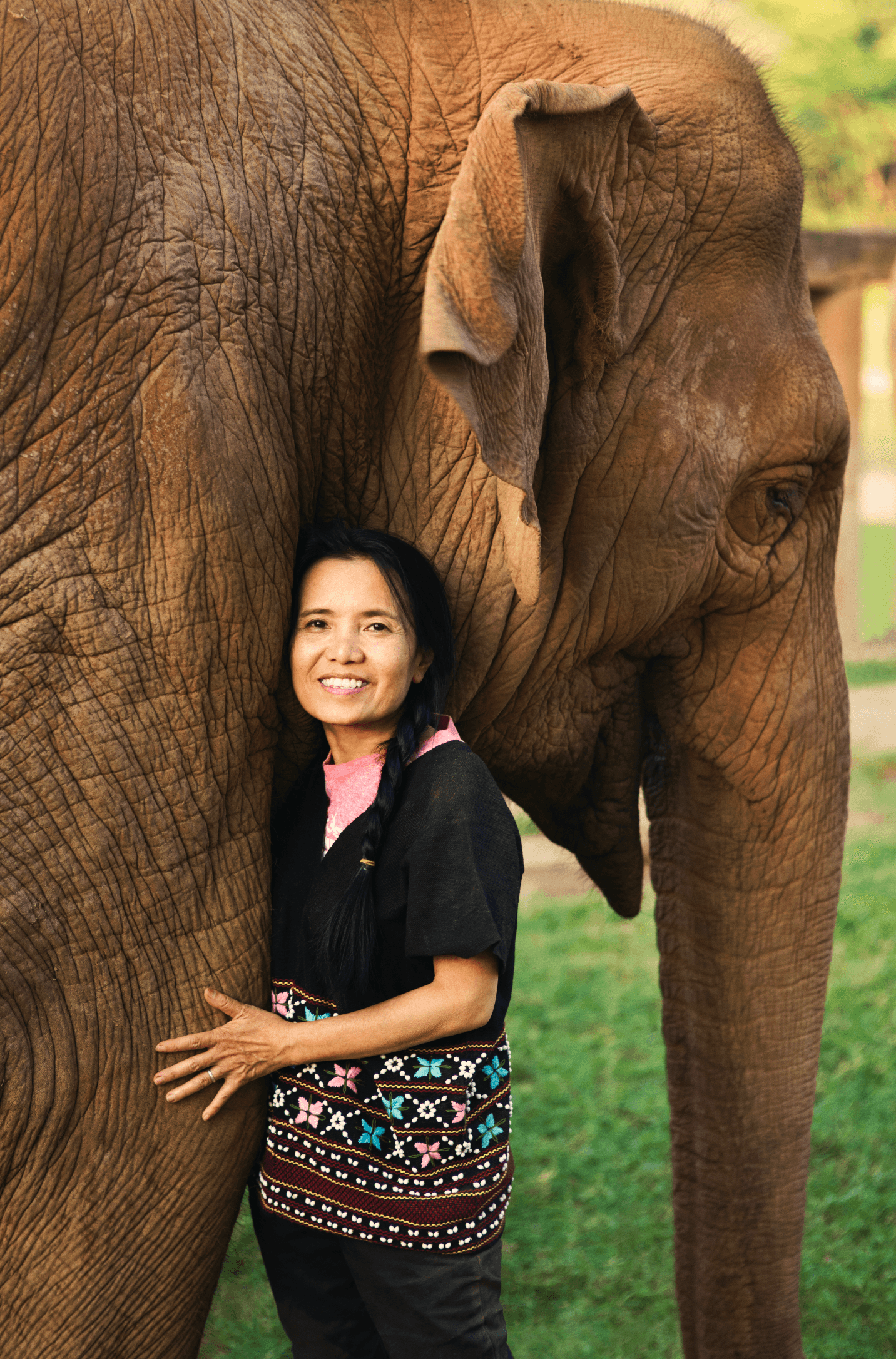 Save Elephant Foundation gallery image 1
