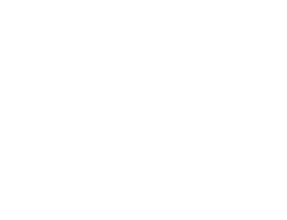 Save Elephant Foundation logo