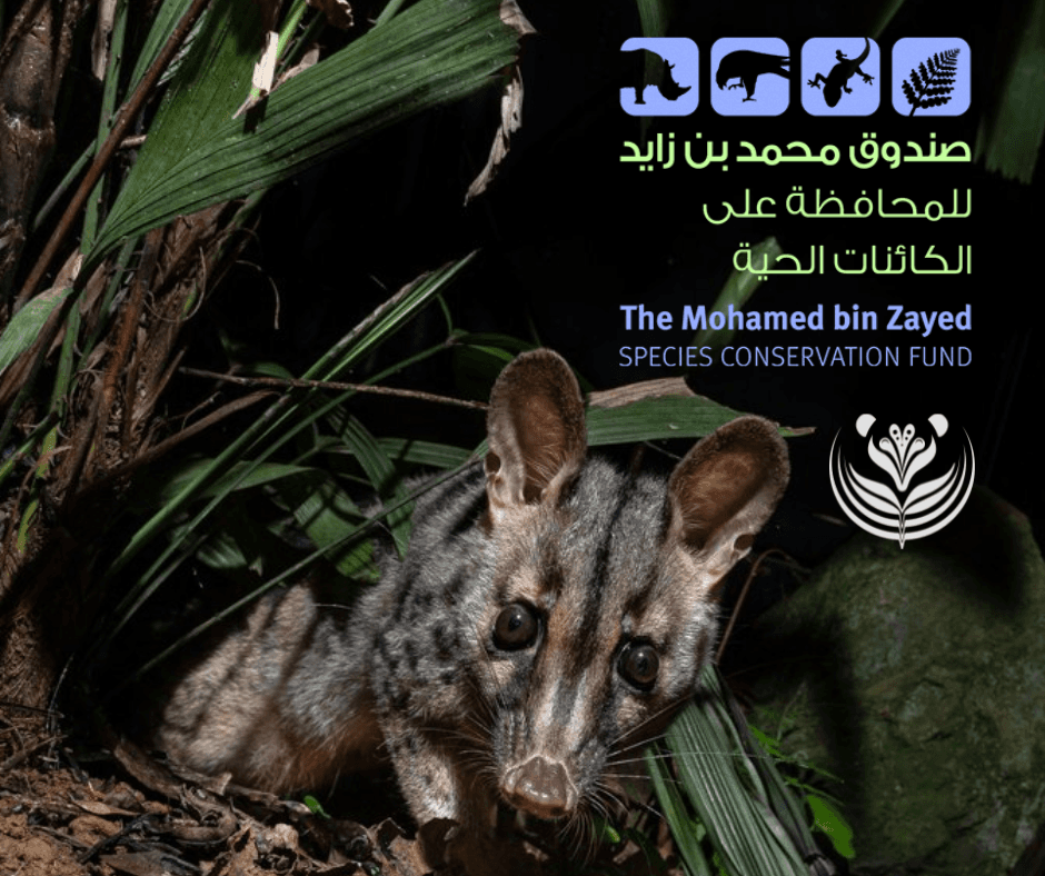 Civet Project gallery image 1