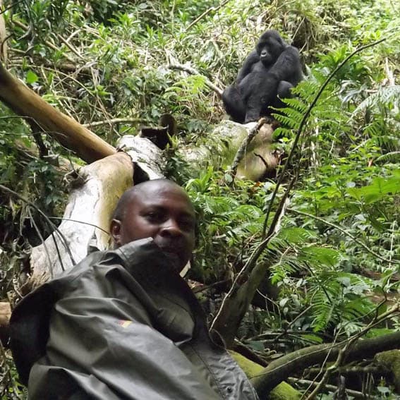 The Gorilla Organization gallery image 1