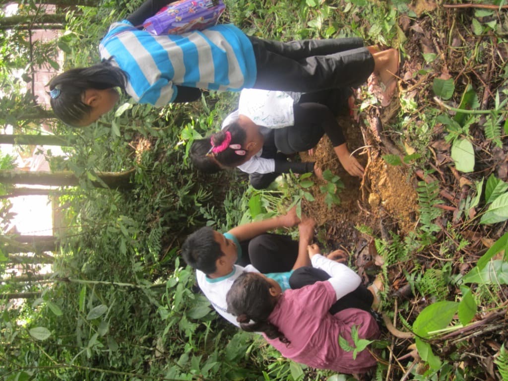 The Orang Utan Republik Foundation gallery image 2