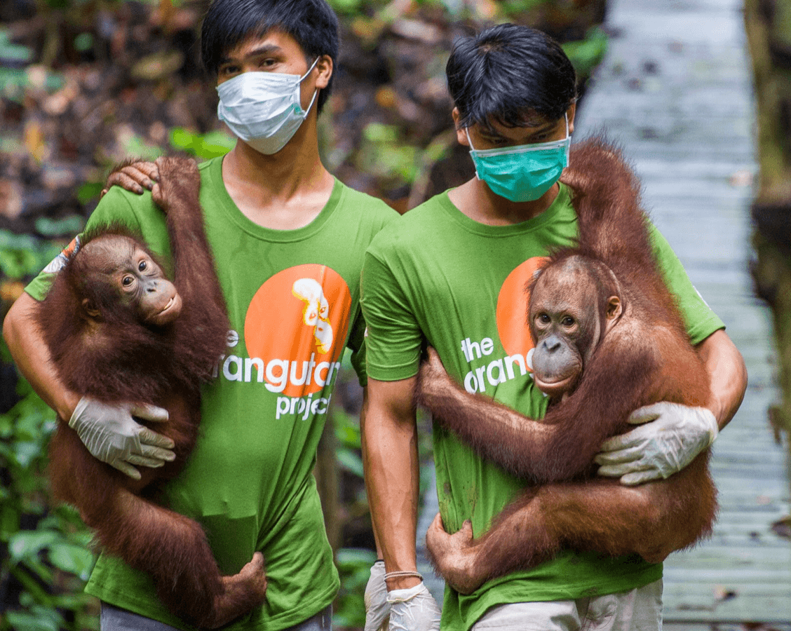 THE ORANGUTAN PROJECT gallery image 2