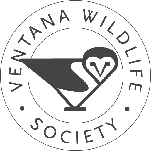 Ventana Wildlife Society logo