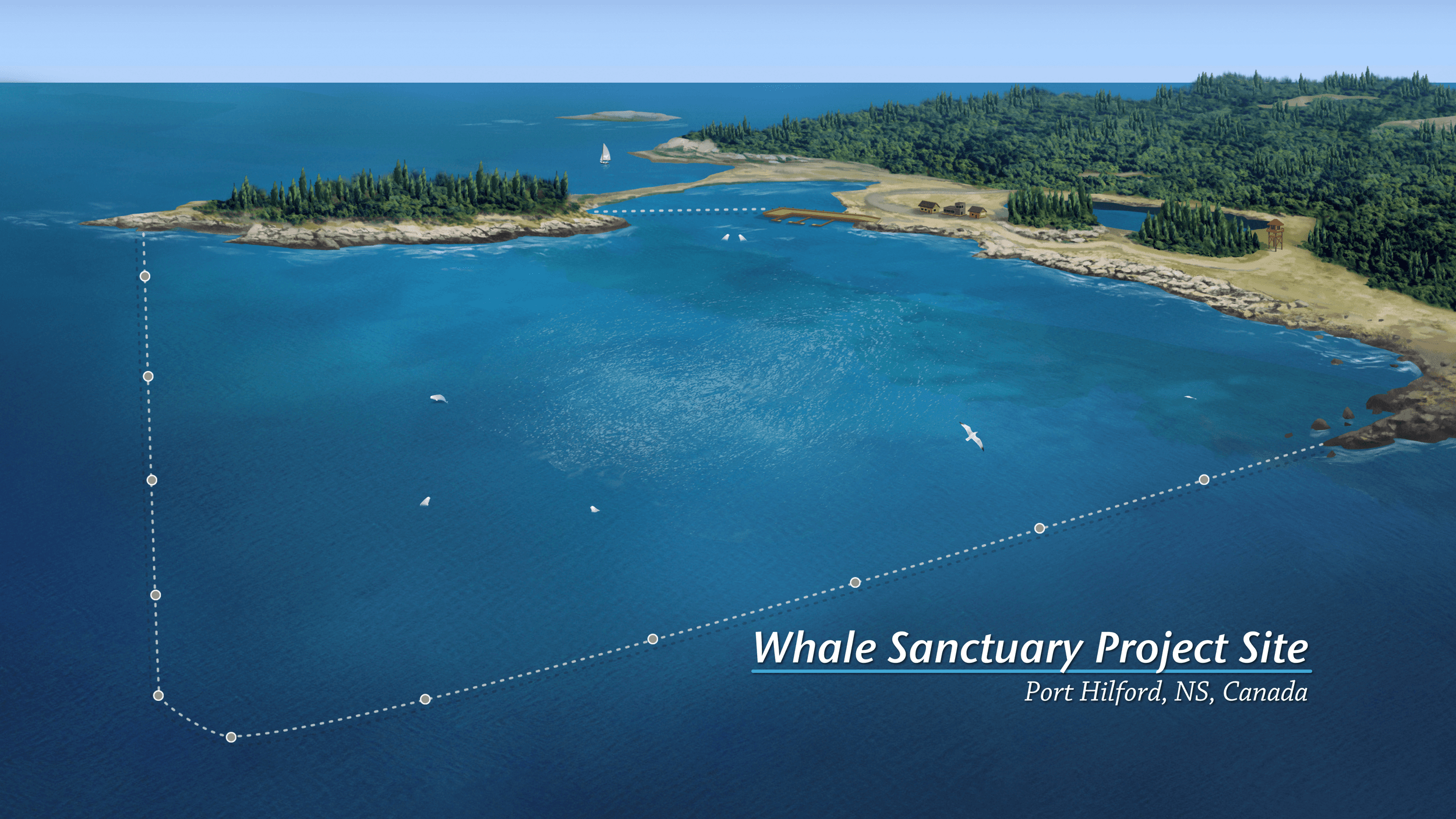 Whale Sanctuary gallery image 1