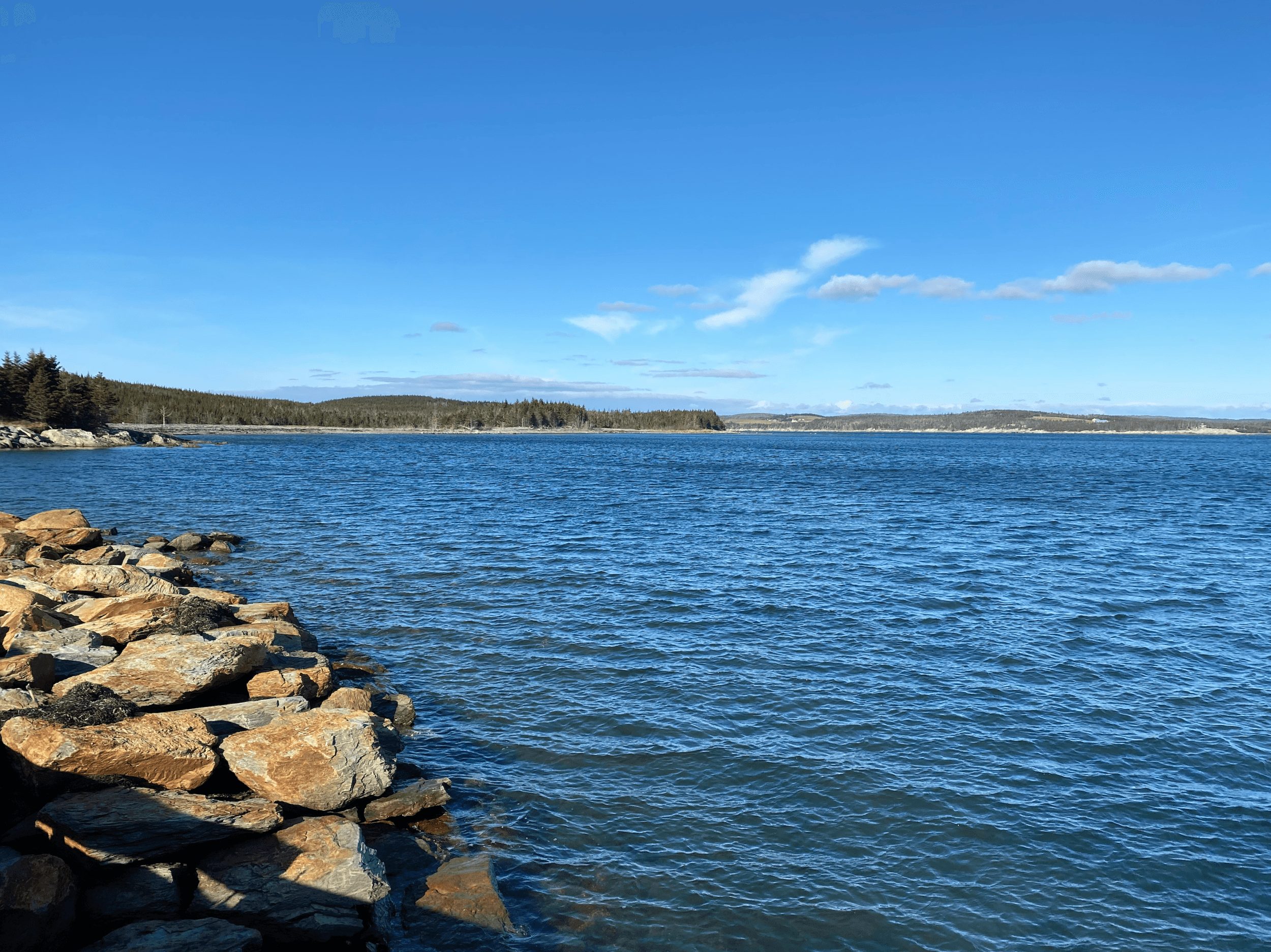 Whale Sanctuary gallery image 2