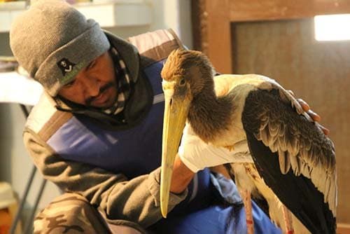Wildlife SOS gallery image 3